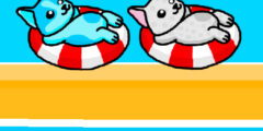 Aqua Dogy