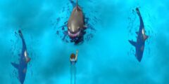 Avoid the Sharks