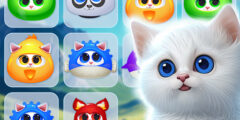 Kitty Jewel Quest