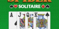 Spider Solitaire Pro